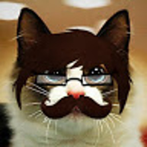 user photo