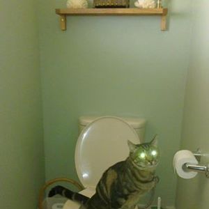 user photo