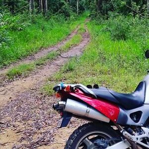 user photo