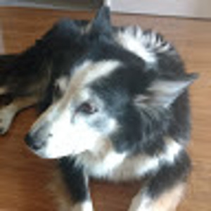 user photo