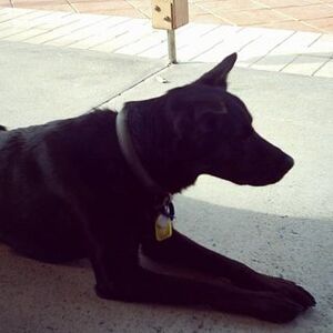 user photo