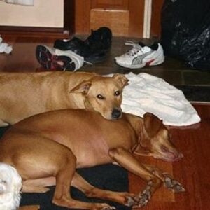 user photo
