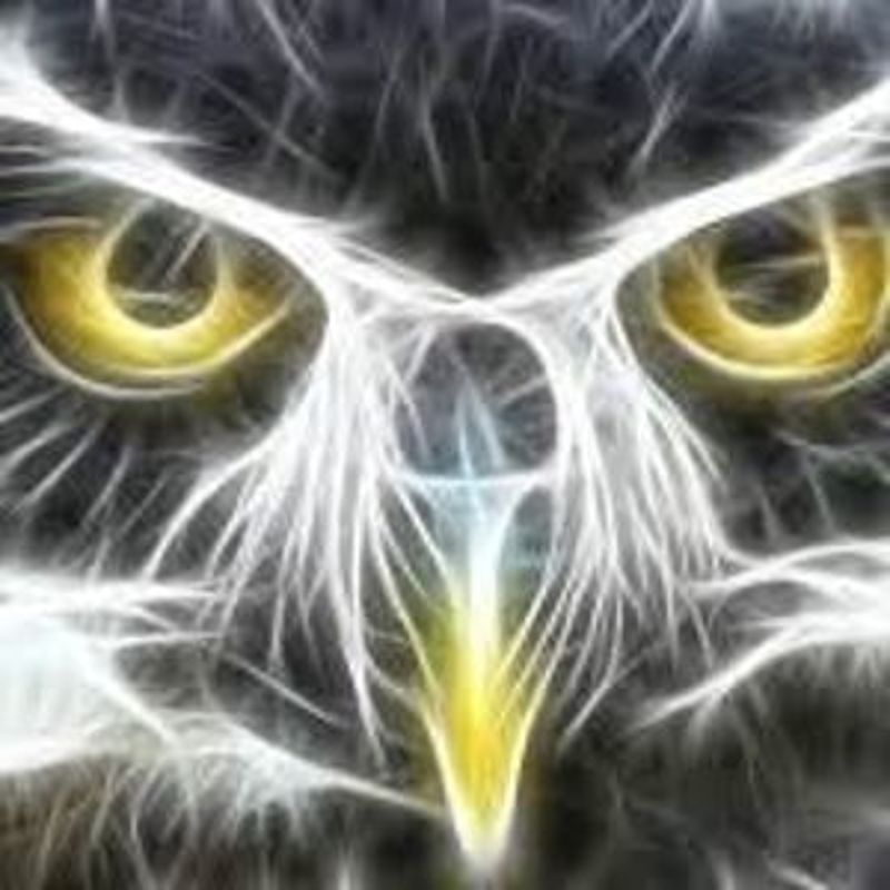 user photo