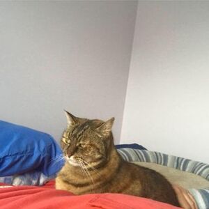 user photo