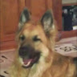 user photo