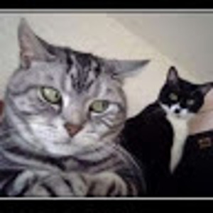 user photo